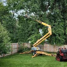 Best Hedge Trimming  in Woodlawn, MD